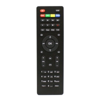 Law Mate TV Remote Hidden Camera