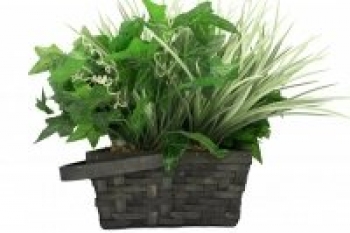 Sleuth Gear Home WiFi Battery Powered Plant Camera